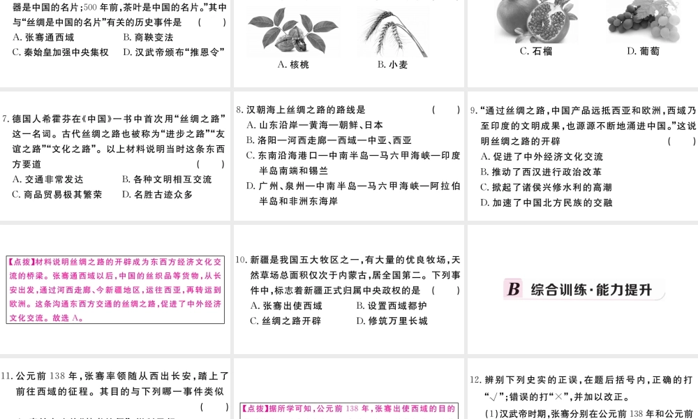 （安徽专版）秋七年级历史上册 第三单元 秦汉时期：统一多民族国家的建立和巩固14 沟通中外文明的丝绸之路习题课件 新人教版-新人教版初中七年级上册历史课件
