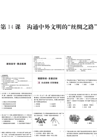 （安徽专版）秋七年级历史上册 第三单元 秦汉时期：统一多民族国家的建立和巩固14 沟通中外文明的丝绸之路习题课件 新人教版-新人教版初中七年级上册历史课件