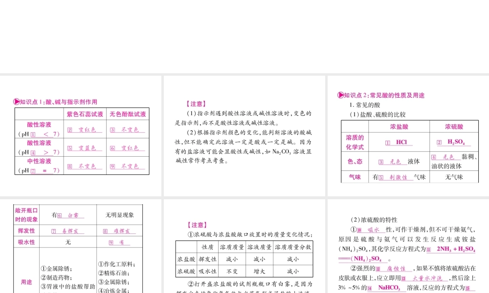 （安徽专版）中考化学总复习 第1部分 教材系统复习 第十单元 酸和碱课件 新人教版-新人教版初中九年级全册化学课件