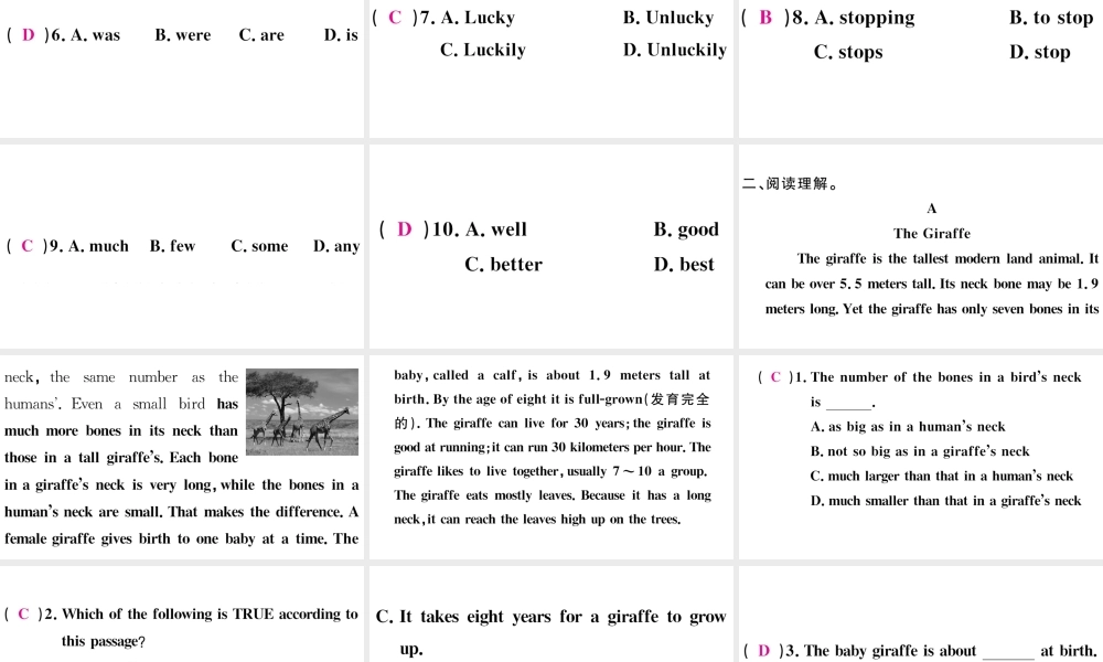 （安徽专版）八年级英语下册 Unit 7 What’s the highest mountain in the world特色题组合练课件（新版）人教新目标版-（新版）人教新目标版初中八年级下册英语课件