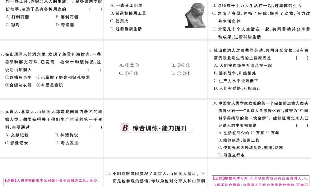 （安徽专版）秋七年级历史上册 第一单元 史前时期：中国境内人类的活动1 中国境内早期人类的代表 一一一北京人习题课件 新人教版-新人教版初中七年级上册历史课件