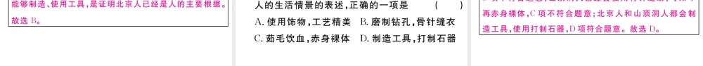 （安徽专版）秋七年级历史上册 第一单元 史前时期：中国境内人类的活动1 中国境内早期人类的代表 一一一北京人习题课件 新人教版-新人教版初中七年级上册历史课件