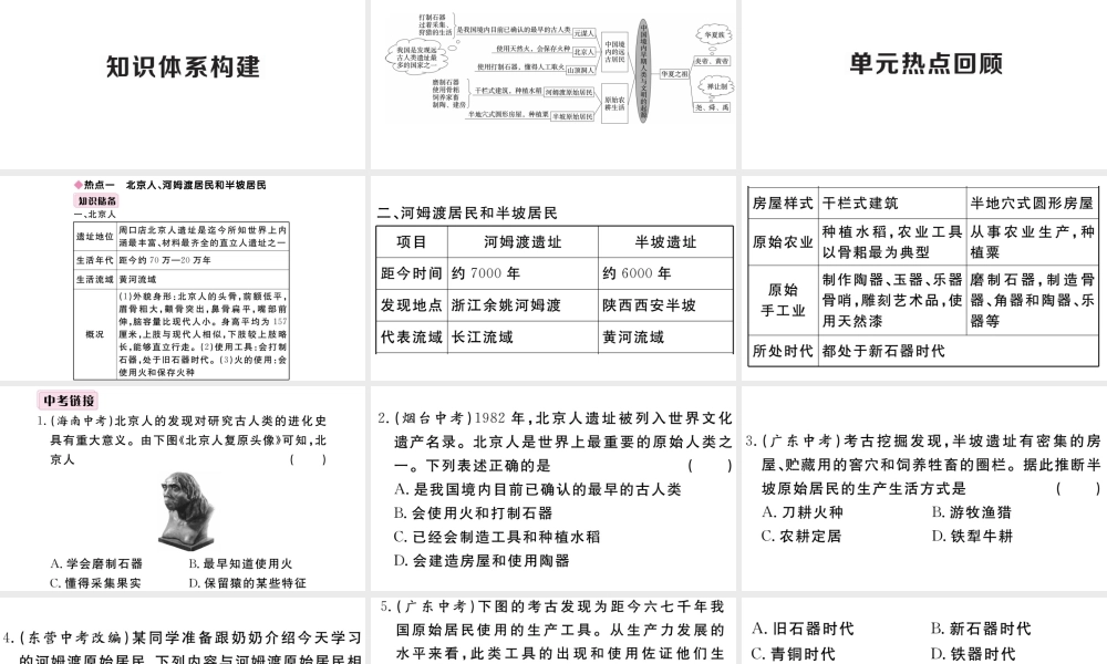 （安徽专版）秋七年级历史上册 第一单元 史前时期：中国境内人类的活动小结习题课件 新人教版-新人教版初中七年级上册历史课件