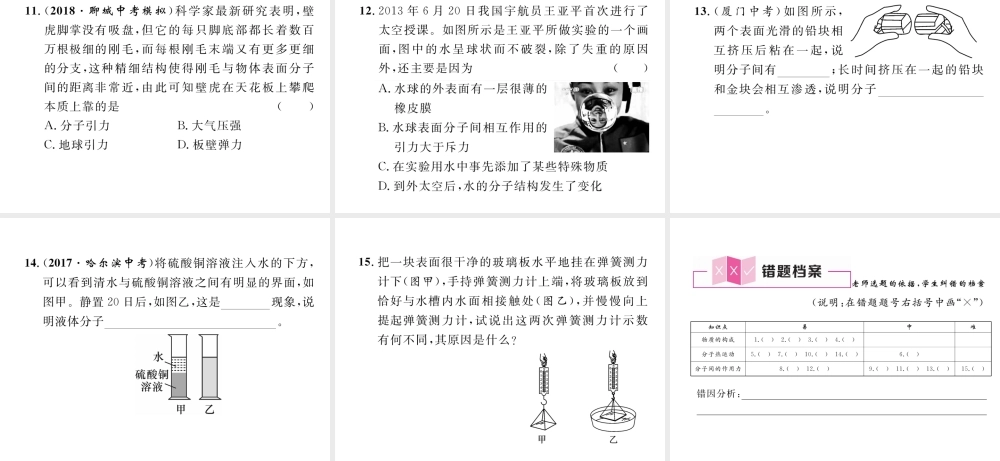 （安徽专版）秋九年级物理全册 第13章 内能 第1节 分子热运动课件 （新版）新人教版-（新版）新人教版初中九年级全册物理课件