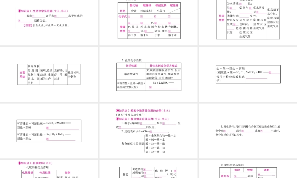 （安徽专版）中考化学总复习 第一部分 教材系统复习 第11单元 盐 化肥课件-人教版初中九年级全册化学课件