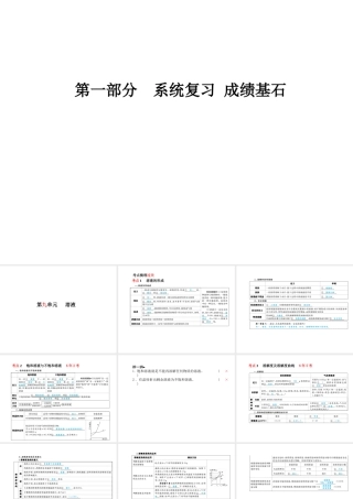 （安徽专版）中考化学总复习 第一部分 系统复习 成绩基石 第九单元 溶液课件 新人教版-新人教版初中九年级全册化学课件