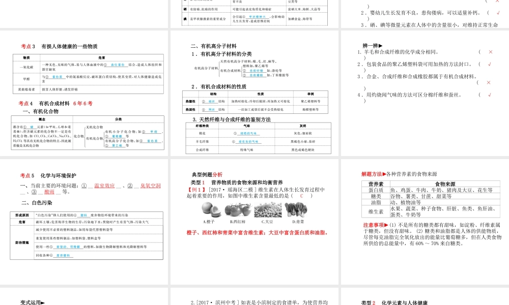 （安徽专版）中考化学总复习 第一部分 系统复习 成绩基石 第十二单元 化学与生活课件 新人教版-新人教版初中九年级全册化学课件
