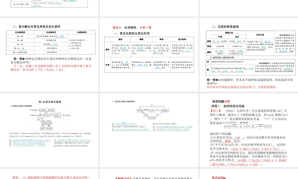 （安徽专版）中考化学总复习 第一部分 系统复习 成绩基石 第十一单元 盐 化肥课件 新人教版-新人教版初中九年级全册化学课件