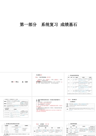 （安徽专版）中考化学总复习 第一部分 系统复习 成绩基石 第十一单元 盐 化肥课件 新人教版-新人教版初中九年级全册化学课件