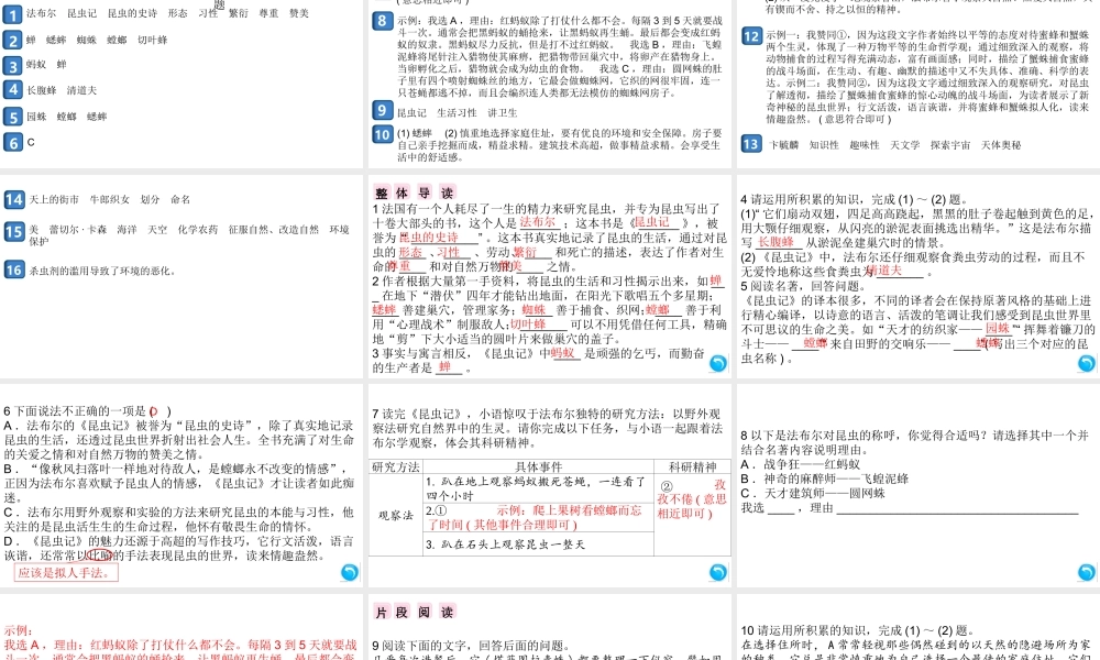（安徽专版）八年级语文上册 第五单元 名著导读《昆虫记》课件 新人教版-新人教版初中八年级上册语文课件
