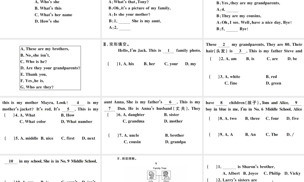 （安徽专版）秋七年级英语上册 Unit 2 This is my sister特色题组合练课件（新版）人教新目标版-（新版）人教新目标版初中七年级上册英语课件