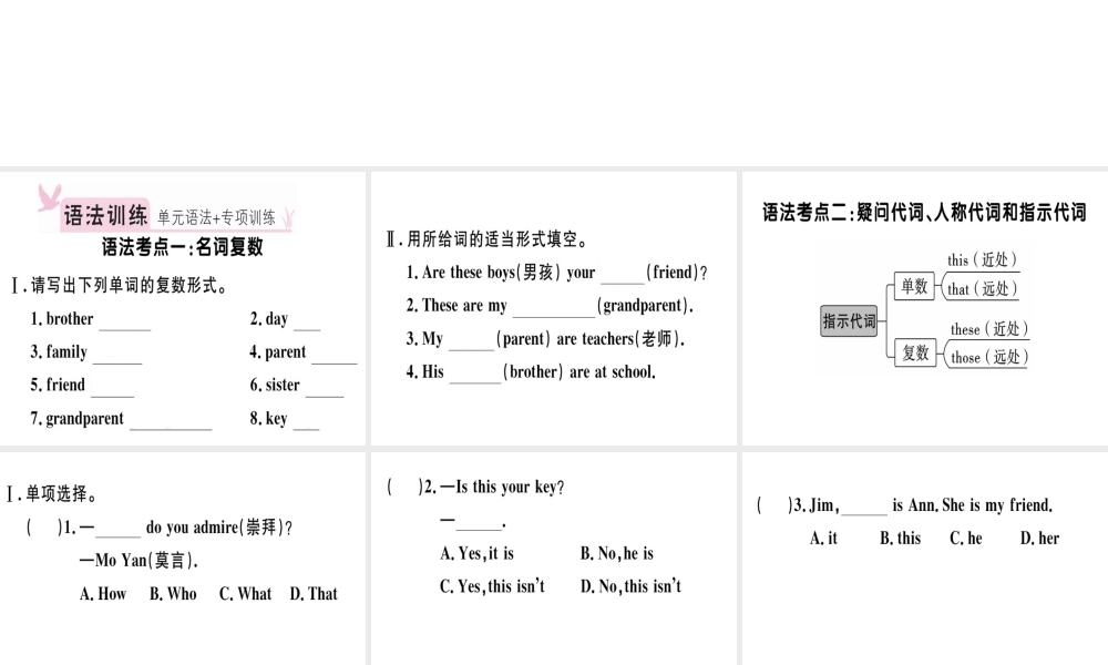（安徽专版）秋七年级英语上册 Unit 2 This is my sister语法专项习题讲评课件 （新版）人教新目标版-（新版）人教新目标版初中七年级上册英语课件