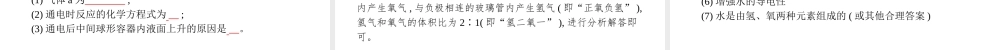 （安徽专版）中考化学总复习 实验4 电解水实验课件-人教版初中九年级全册化学课件