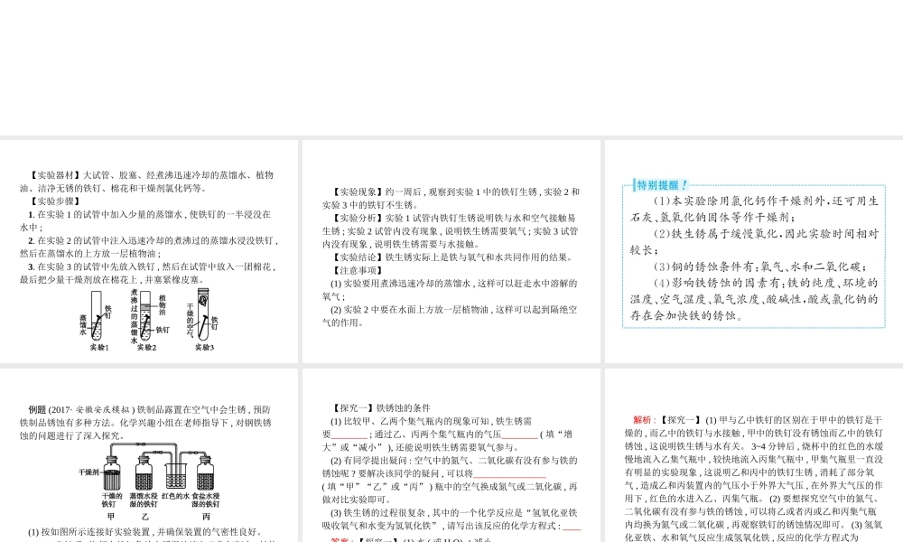 （安徽专版）中考化学总复习 实验8 铁钉锈蚀条件的探究课件-人教版初中九年级全册化学课件