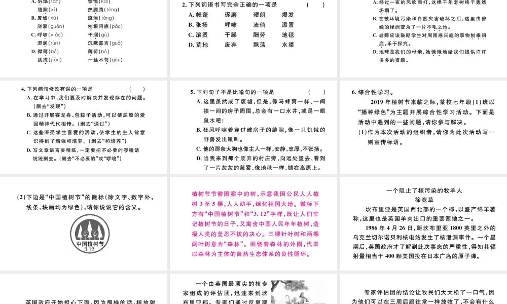 （安徽专版）秋七年级语文上册 第四单元 13 植树的牧羊人习题课件 新人教版-新人教版初中七年级上册语文课件