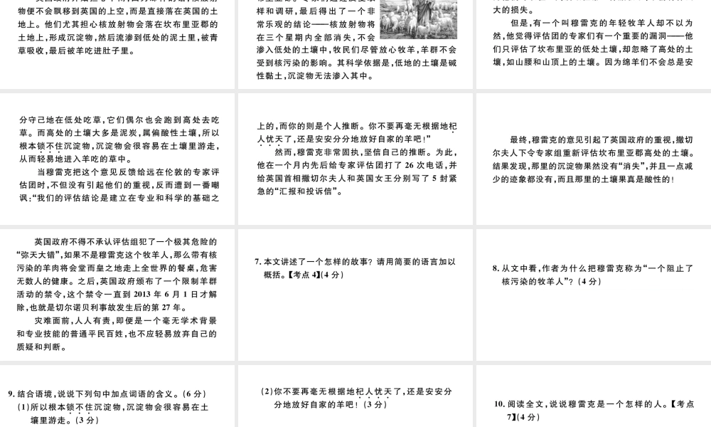 （安徽专版）秋七年级语文上册 第四单元 13 植树的牧羊人习题课件 新人教版-新人教版初中七年级上册语文课件