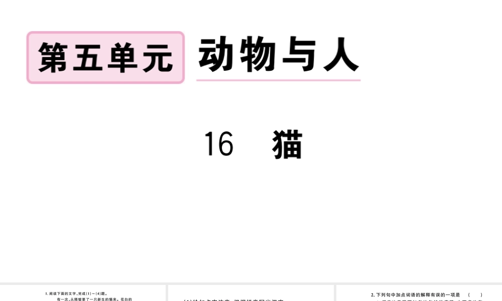 （安徽专版）秋七年级语文上册 第五单元 16 猫习题课件 新人教版-新人教版初中七年级上册语文课件