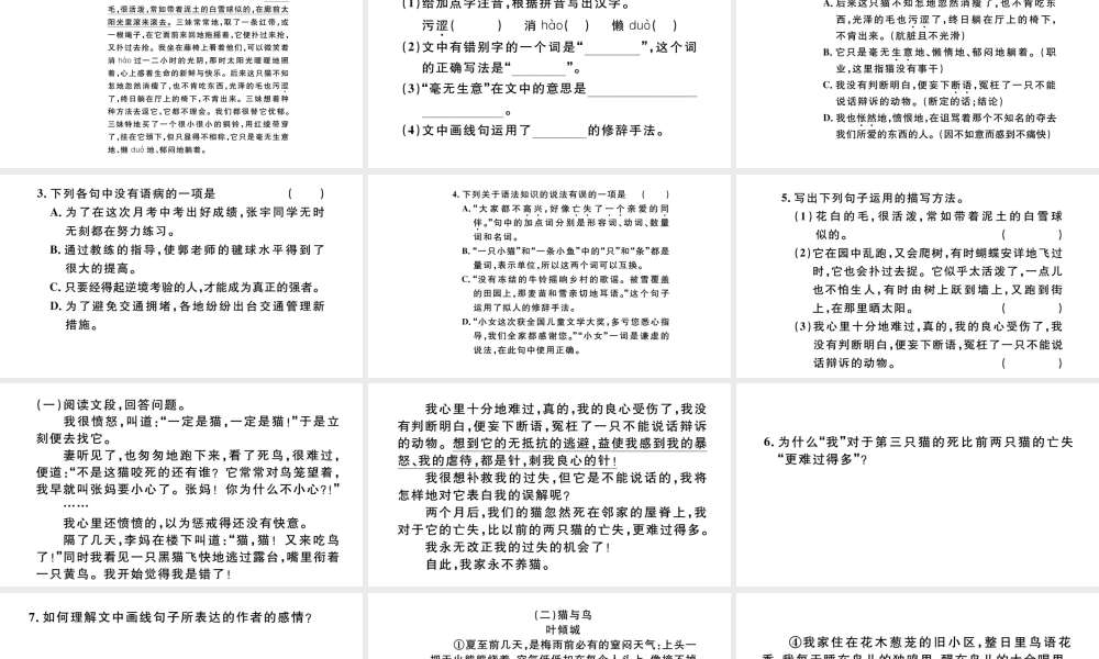 （安徽专版）秋七年级语文上册 第五单元 16 猫习题课件 新人教版-新人教版初中七年级上册语文课件