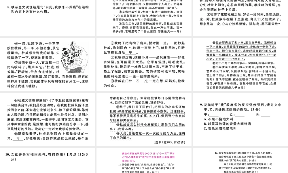 （安徽专版）秋七年级语文上册 第五单元 16 猫习题课件 新人教版-新人教版初中七年级上册语文课件