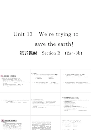 （安徽专版）九年级英语全册 Unit 13 We’re trying to save the earth（第5课时）习题课件 （新版）人教新目标版-（新版）人教新目标版初中九年级全册英语课件