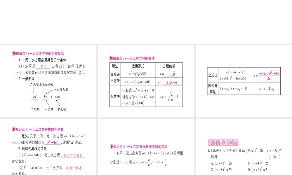 （安徽专版）中考数学总复习 第一轮 考点系统复习 第2章 方程组与不等式组 第2节 一元二次方程及其应用课件-人教版初中九年级全册数学课件