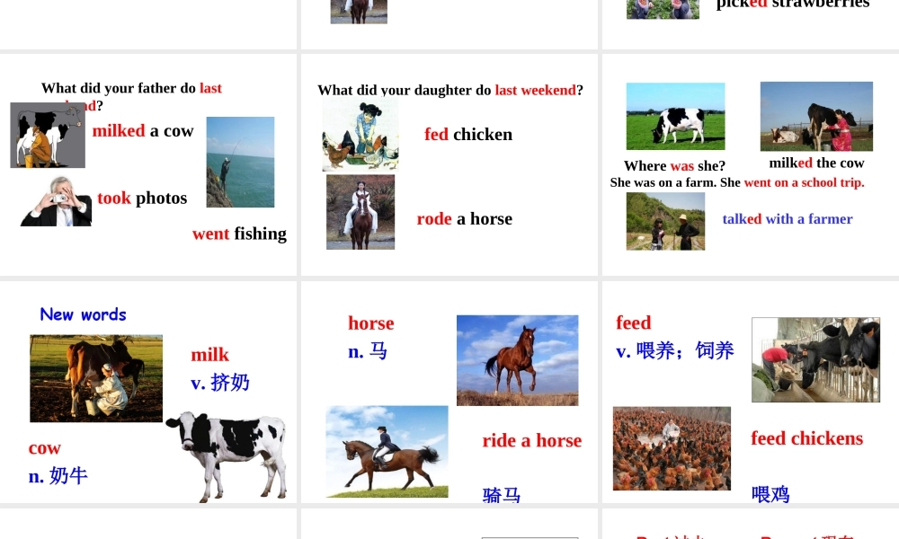 （安徽专版）春七年级英语下册 Unit 11 How was your school trip Section A（第1课时）教学课件 （新版）人教新目标版-（新版）人教新目标版初中七年级下册英语课件