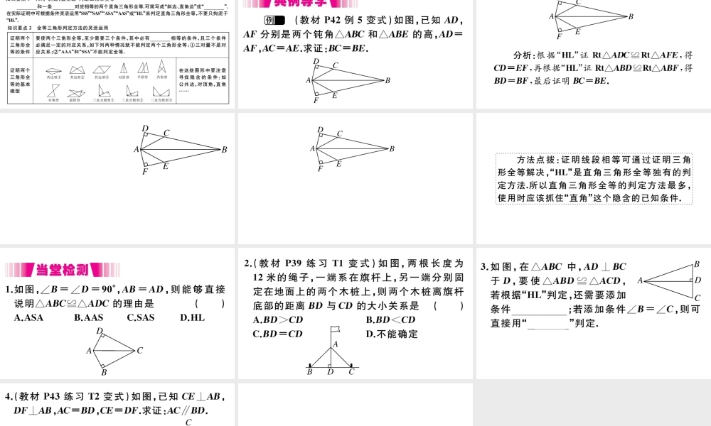 （安徽专版）八年级数学上册 第12章 全等三角形 12.2 三角形全等的判定 第4课时 斜边、直角边习题课件 （新版）新人教版-（新版）新人教版初中八年级上册数学课件