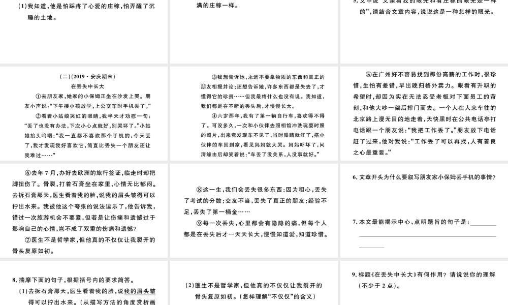 （安徽专版）秋七年级语文上册 期末复习专题五 记叙文阅读习题课件 新人教版-新人教版初中七年级上册语文课件