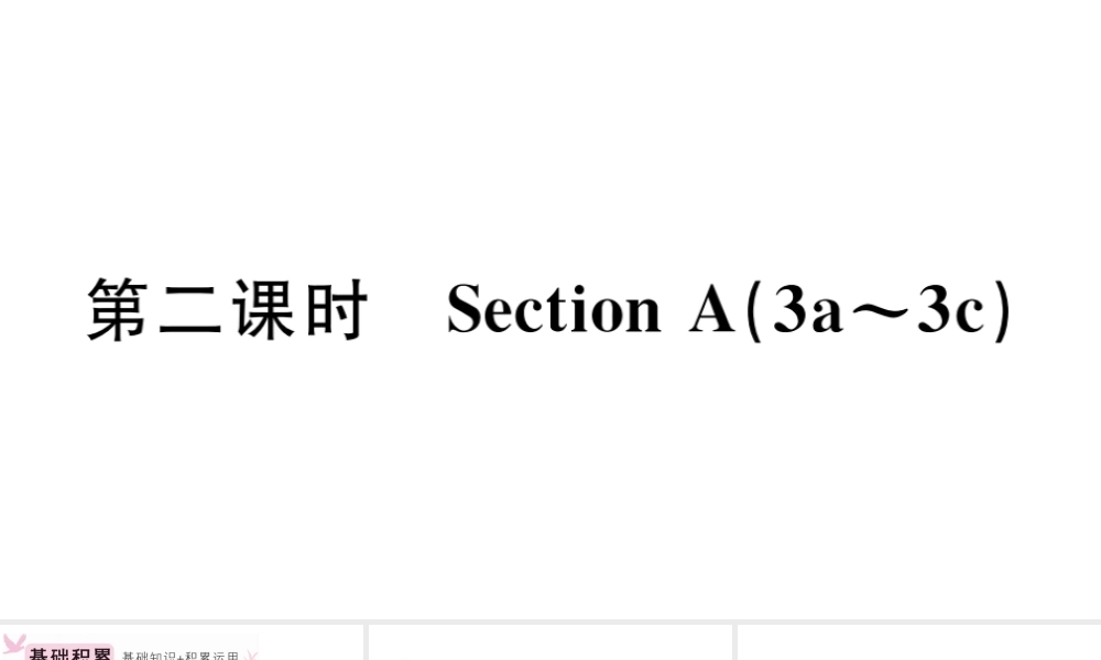 （安徽专版）秋七年级英语上册 Unit 5 Do you have a soccer ball第二课时习题课件（新版）人教新目标版-（新版）人教新目标版初中七年级上册英语课件