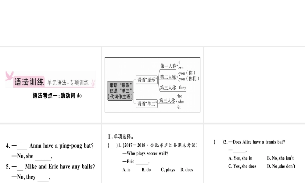 （安徽专版）秋七年级英语上册 Unit 5 Do you have a soccer ball语法专项习题讲评课件 （新版）人教新目标版-（新版）人教新目标版初中七年级上册英语课件