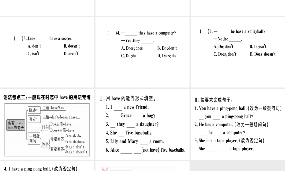 （安徽专版）秋七年级英语上册 Unit 5 Do you have a soccer ball语法专项习题讲评课件 （新版）人教新目标版-（新版）人教新目标版初中七年级上册英语课件