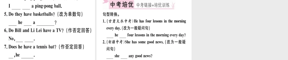（安徽专版）秋七年级英语上册 Unit 5 Do you have a soccer ball语法专项习题讲评课件 （新版）人教新目标版-（新版）人教新目标版初中七年级上册英语课件
