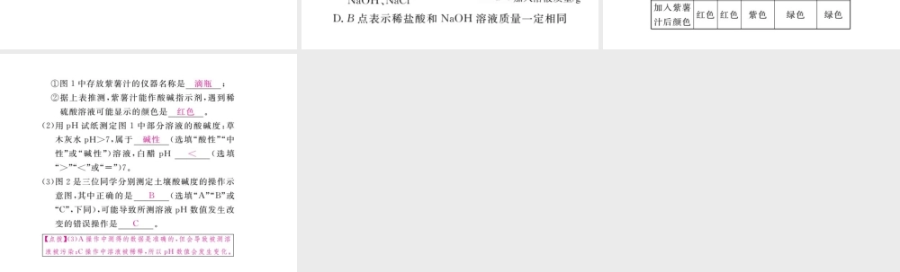 （安徽专版）九年级化学下册 10 酸和碱 实验活动7 溶液酸碱性的检验练习课件 （新版）新人教版-（新版）新人教版初中九年级下册化学课件