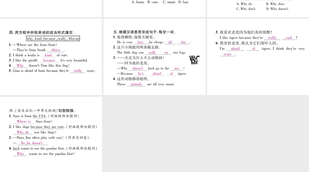 （安徽专版）春七年级英语下册 Unit 5 Why do you like pandas（第2课时）语法专练（Grammar Focus-3c）习题课件 （新版）人教新目标版-（新版）人教新目标版初中七年级下册英语课件