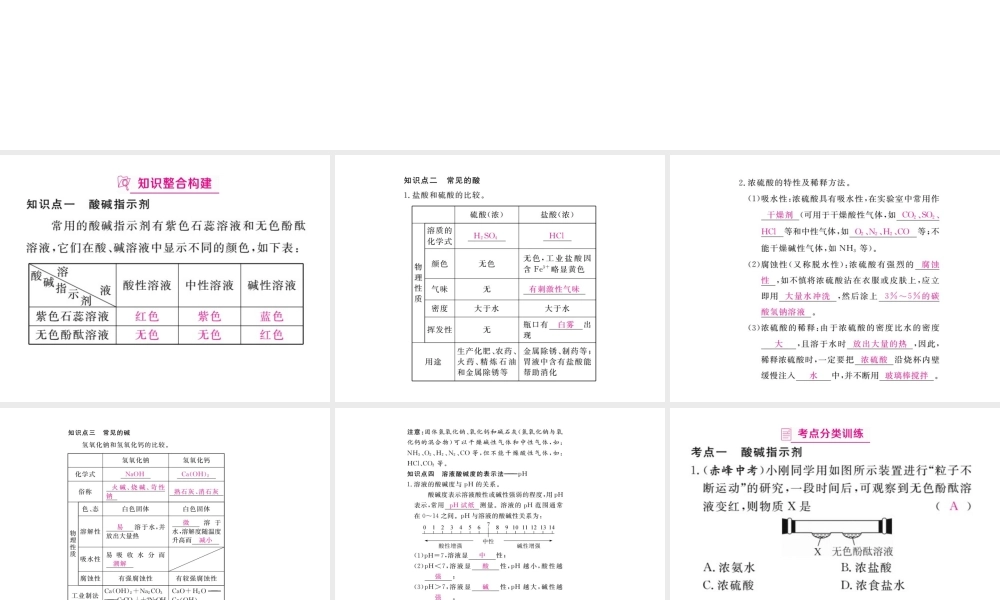 （安徽专版）九年级化学下册 寒假复习九 常见的酸和碱练习课件 （新版）新人教版-（新版）新人教版初中九年级下册化学课件