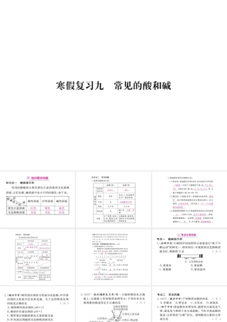 （安徽专版）九年级化学下册 寒假复习九 常见的酸和碱练习课件 （新版）新人教版-（新版）新人教版初中九年级下册化学课件