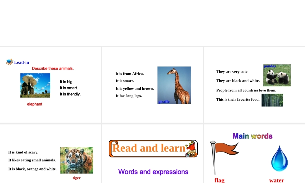 （安徽专版）春七年级英语下册 Unit 5 Why do you like pandas（第4课时）教学课件 （新版）人教新目标版-（新版）人教新目标版初中七年级下册英语课件