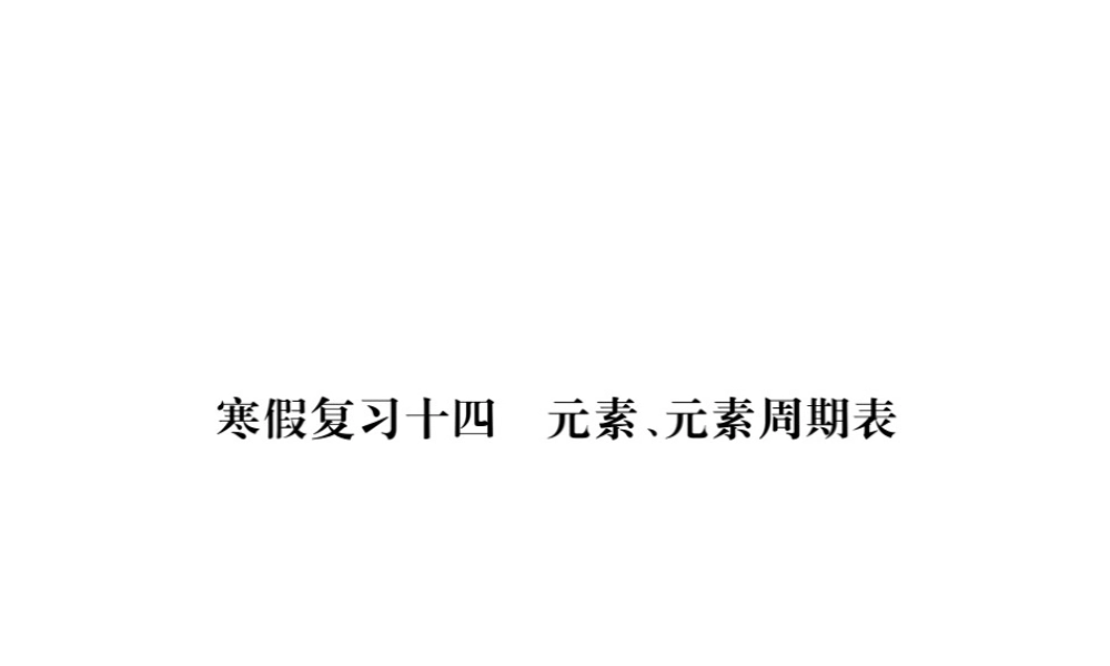 （安徽专版）九年级化学下册 寒假复习十四 元素、元素周期表练习课件 （新版）新人教版-（新版）新人教版初中九年级下册化学课件
