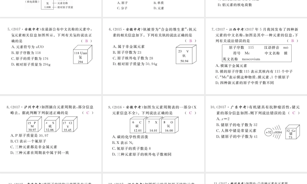 （安徽专版）九年级化学下册 寒假复习十四 元素、元素周期表练习课件 （新版）新人教版-（新版）新人教版初中九年级下册化学课件