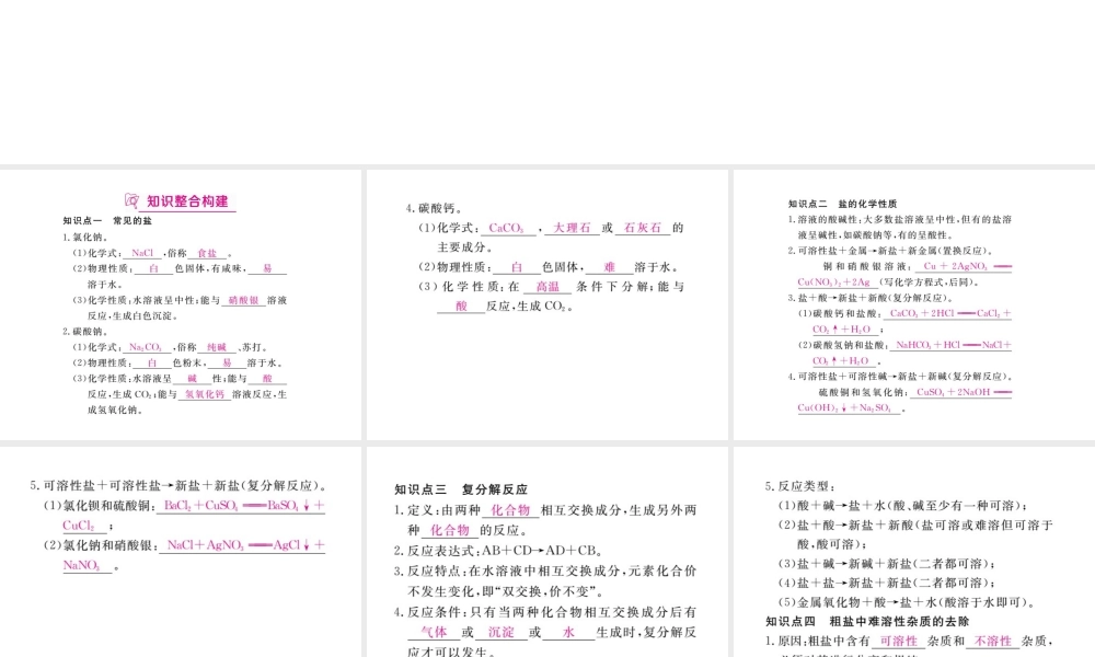 （安徽专版）九年级化学下册 寒假复习十一 盐 化肥练习课件 （新版）新人教版-（新版）新人教版初中九年级下册化学课件