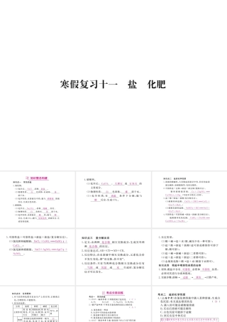 （安徽专版）九年级化学下册 寒假复习十一 盐 化肥练习课件 （新版）新人教版-（新版）新人教版初中九年级下册化学课件