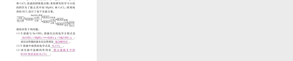 （安徽专版）九年级化学下册 专题六 流程图题练习课件 （新版）新人教版-（新版）新人教版初中九年级下册化学课件