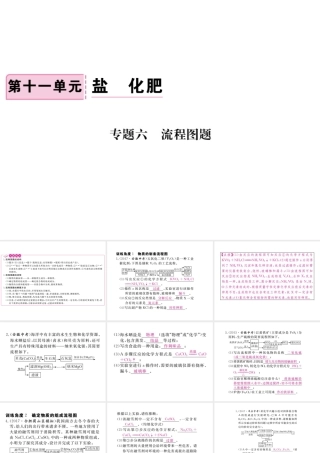 （安徽专版）九年级化学下册 专题六 流程图题练习课件 （新版）新人教版-（新版）新人教版初中九年级下册化学课件