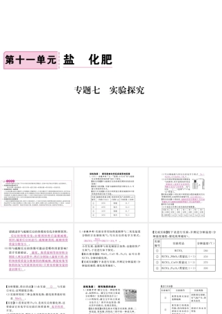 （安徽专版）九年级化学下册 专题七 实验探究练习课件 （新版）新人教版-（新版）新人教版初中九年级下册化学课件