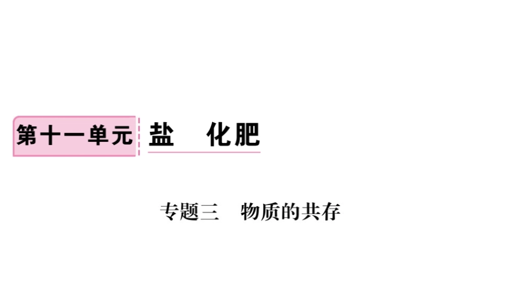 （安徽专版）九年级化学下册 专题三 物质的共存练习课件 （新版）新人教版-（新版）新人教版初中九年级下册化学课件