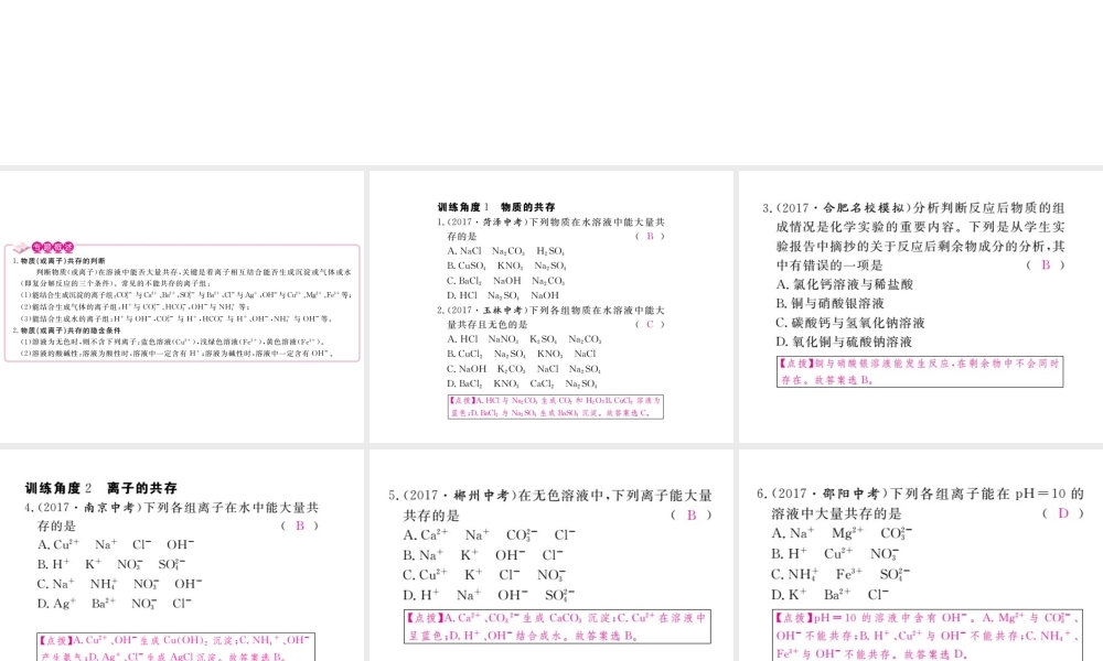 （安徽专版）九年级化学下册 专题三 物质的共存练习课件 （新版）新人教版-（新版）新人教版初中九年级下册化学课件