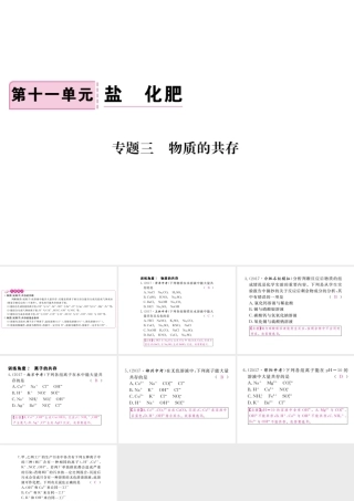 （安徽专版）九年级化学下册 专题三 物质的共存练习课件 （新版）新人教版-（新版）新人教版初中九年级下册化学课件