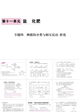 （安徽专版）九年级化学下册 专题四 物质的分类与相互反应、转化练习课件 （新版）新人教版-（新版）新人教版初中九年级下册化学课件