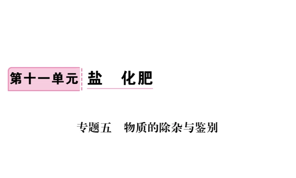（安徽专版）九年级化学下册 专题五 物质的除杂与鉴别练习课件 （新版）新人教版-（新版）新人教版初中九年级下册化学课件