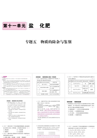 （安徽专版）九年级化学下册 专题五 物质的除杂与鉴别练习课件 （新版）新人教版-（新版）新人教版初中九年级下册化学课件